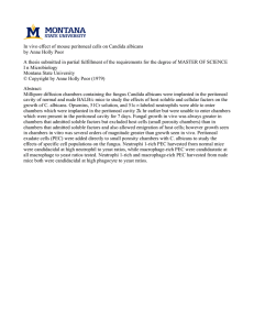 In vivo effect of mouse peritoneal cells on Candida albicans