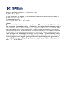 Ketobutyrate decarboxylase activity in Rhizoctonia solani by Robert Martin Quinn