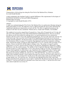 Characteristics of elk calving sites along the West Fork of... by Leslie Ronald Reichelt