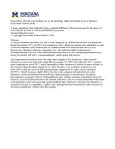 Some effects of Clark Canyon Reservoir on the limnology of... by Kenneth Michael Smith