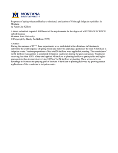 Response of spring wheat and barley to simulated application of... Montana