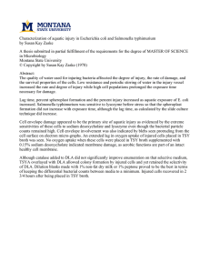 Characterization of aquatic injury in Escherichia coli and Salmonella typhimurium