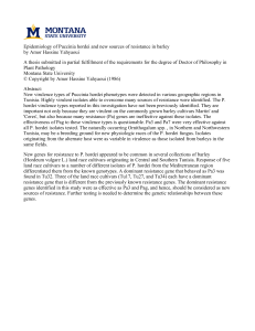 Epidemiology of Puccinia hordei and new sources of resistance in... by Amor Hassine Yahyaoui