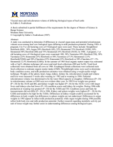 Visceral mass and reticulorumen volume of differing biological types of... by Eddie L Fredrickson