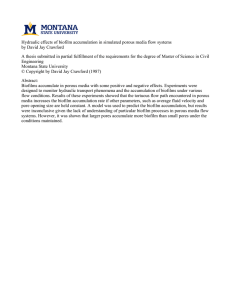 Hydraulic effects of biofilm accumulation in simulated porous media flow... by David Jay Crawford