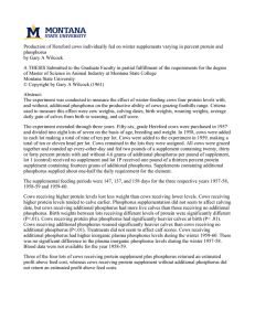 Production of Hereford cows individually fed on winter supplements varying... phosphorus