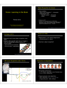 Vision: Learning in the Brain Object Recognition by Humans