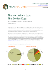 PPLPI The Hen Which Lays The Golden Eggs
