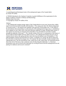 A morphological and histological study of the underground organs of... by Chester W Griffin