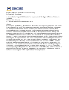 Genetics of Russian wheat aphid resistance in barley