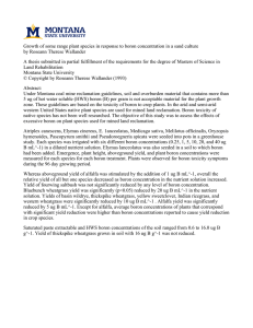 Growth of some range plant species in response to boron... by Roseann Therese Wallander