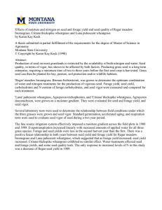 Effects of moisture and nitrogen on seed and forage yield... bromegrass, Critana thickspike wheatgrass and Luna pubescent wheatgrass