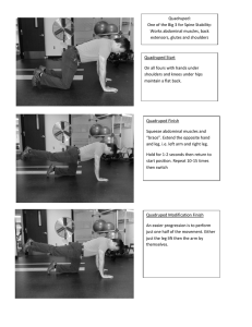 Quadruped: One of the Big 3 for Spine Stability:
