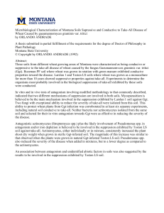 Microbiological Characterization of Montana Soils Supressive and Conductive to Take-All... Wheat Caused by gaeumannomyces graminis var. tritici