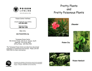 Pretty Plants and Pretty Poisonous Plants Oleander