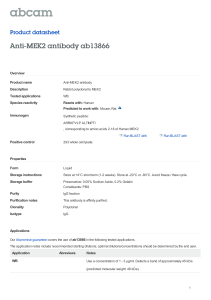 Anti-MEK2 antibody ab13866 Product datasheet