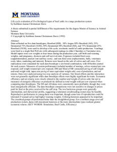 Life cycle evaluation of five biological types of beef cattle... by Kathleen Jeanne Christensen Davis