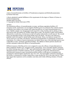 Action of monochloramine on biofilms of Pseudomonas aeruginosa and Klebsiella... by Rohini Srinivasan