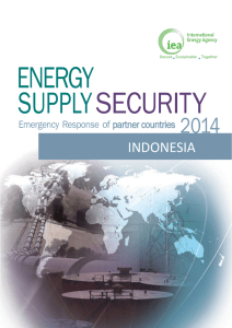 ENERGY SUPPLY  SECURITY