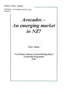 Avocados- An emerging market inNZ? Peter Nation