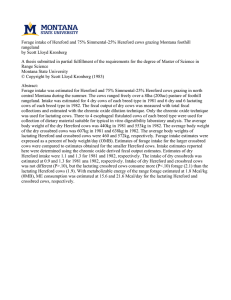 Forage intake of Hereford and 75% Simmental-25% Hereford cows grazing... rangeland by Scott Lloyd Kronberg