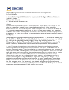 Immunopathologic evaluation of experimental transmission of mouse thymic virus