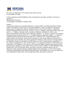 The water use efficiencies of five legume green manure species