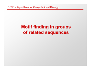 Motif finding in groups of related sequences