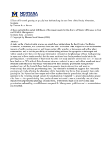 Effects of livestock grazing on grizzly bear habitat along the... Montana