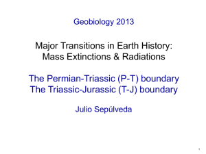 Major Transitions in Earth History: Mass Extinctions &amp; Radiations