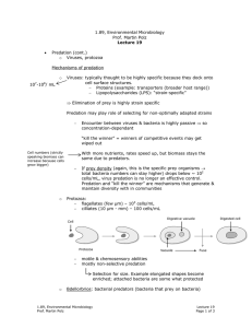 1.89, Environmental Microbiology Prof. Martin Polz •	 Predation (cont.) Viruses, protozoa