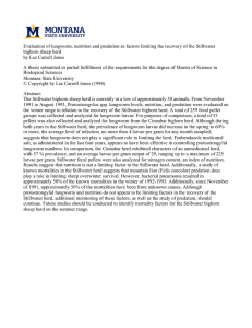 Evaluation of lungworm, nutrition and predation as factors limiting the... bighorn sheep herd