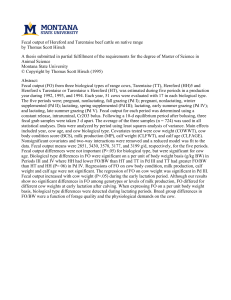 Fecal output of Hereford and Tarentaise beef cattle on native... by Thomas Scott Hirsch