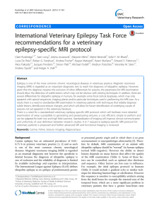 International Veterinary Epilepsy Task Force recommendations for a veterinary epilepsy-specific MRI protocol