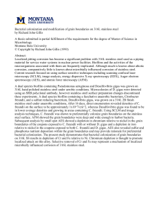 Bacterial colonization and modification of grain boundaries on 316L stainless... by Richard John Gillis