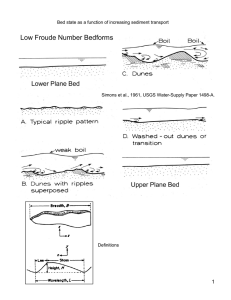 Low Froude Number Bedforms