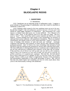 Chapter 4  SILICICLASTIC ROCKS