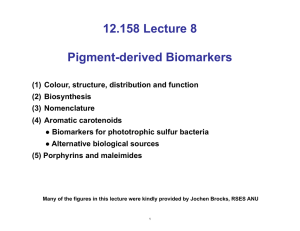 12.158 Lecture Pigment-derived Biomarkers