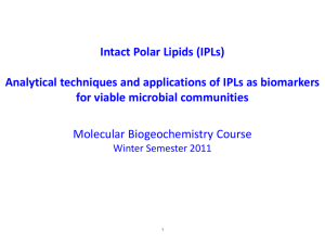 Intact Polar Lipids (IPLs) for viable microbial communities