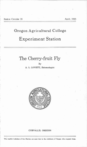 'Experiment Station The Cherry-fruit Fly Oregon Agricultural College Station CIrcular 35