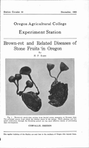 Experiment Station Brown-rot and Related Diseases of Stone Fruits in Oregon