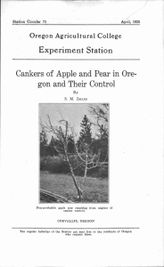 Experiment Station Cankers of Apple and Pear in Ore- Oregon Agricultural College