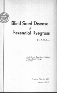 Blind Seed Disease Peren nkil Ryegrass of January 949