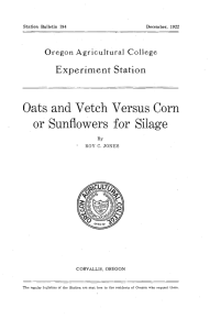 Oats and Vetch Versus Corn Sunflowers for Silage or Experiment Station