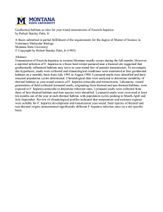 Geothermal habitats as sites for year-round transmission of Fasciola hepatica