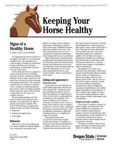 Keeping Your Horse Healthy Signs of a