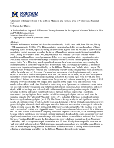 Utilization of forage by bison in the Gibbon, Madison, and... Park