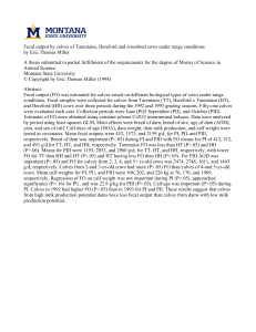 Fecal output by calves of Tarentaise, Hereford and crossbred cows... by Eric Thomas Miller