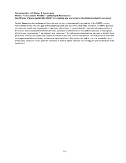 essay of friendship love your parents
