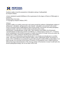 Synthetic studies toward the preparation of phosphate analogs of sphingolipids